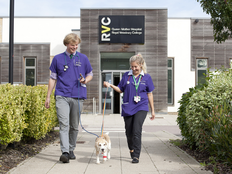 Facilities Student Life Study Royal Veterinary College, RVC